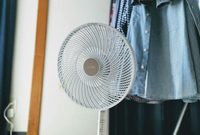 fan